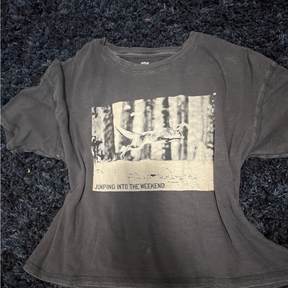 FREE SHIPPING aerie tshirt